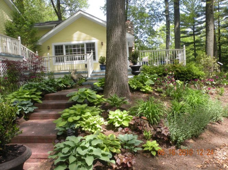 The French Rooster House